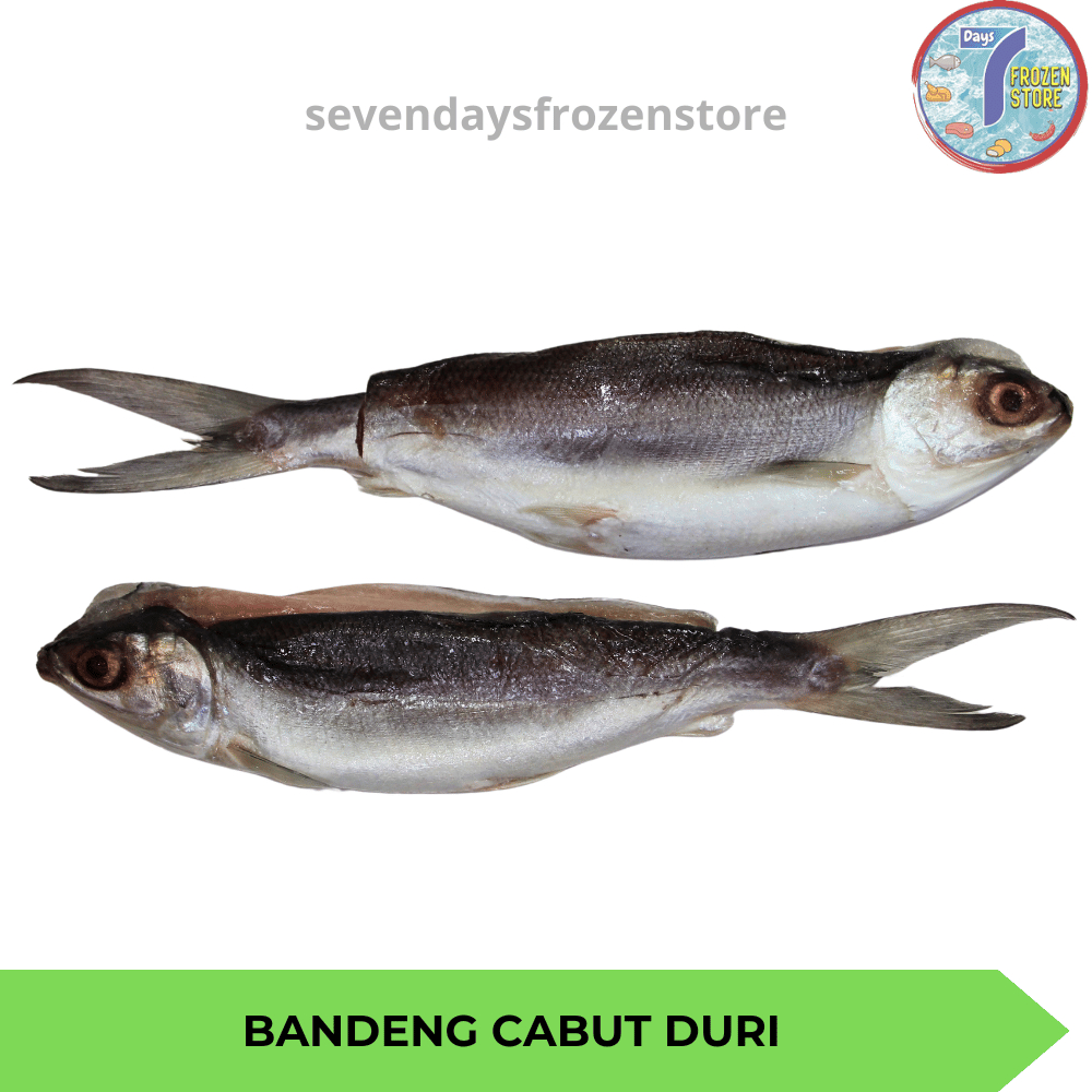 

Ikan Bandeng Cabut Duri | Tanpa Duri Beku Frozen