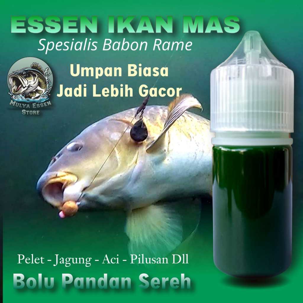 Essen Khusus Ikan Mas Aroma Bolu Pandan Sereh Paling Gacor, Essen Khusus Ikan Mas Babon Rame Paling 