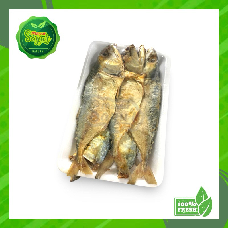 

KIRIM INSTAN Ikan Asin Peda / Perpack