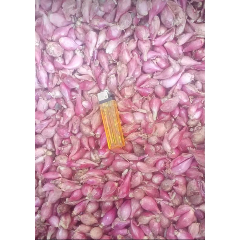 

BAWANG MERAH BREBES KECILAN 1KG