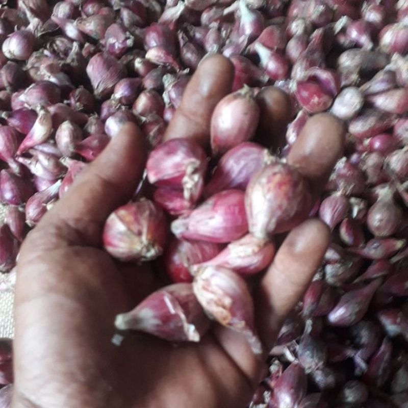 

bawang merah/bawang putih