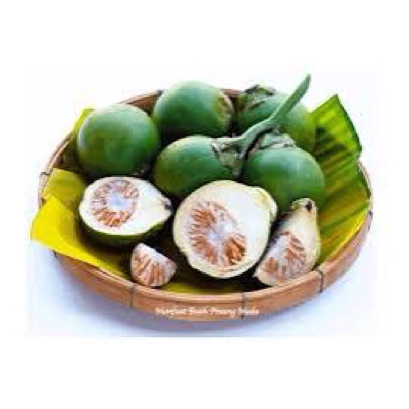 

pinang muda/ pinang muda 1kg/ pinang tidak di kupas