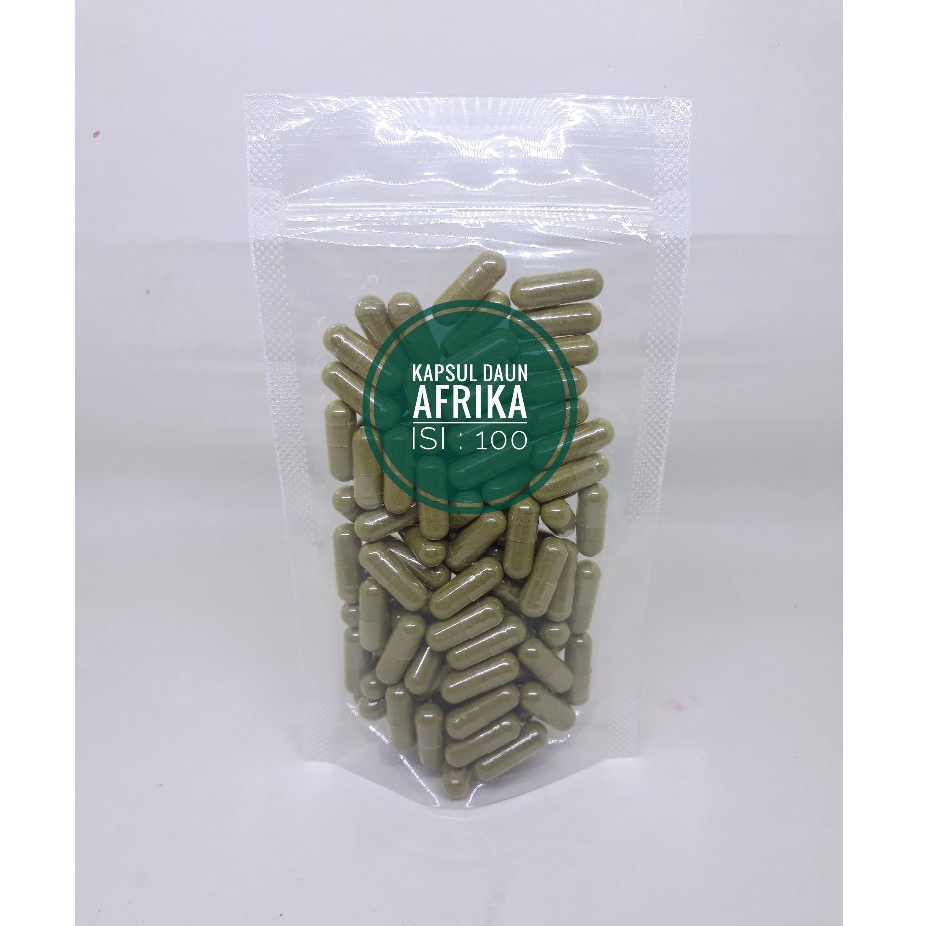 Kapsul Daun Afrika