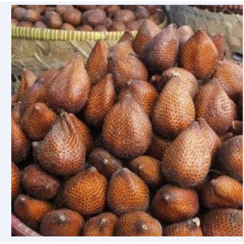 

BUAH SALAK PONDOH