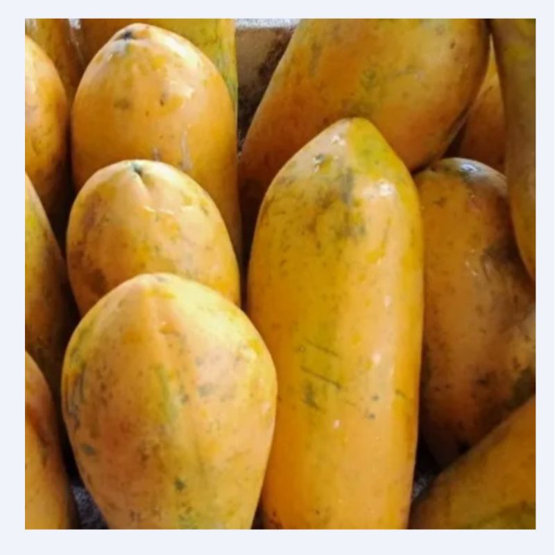 

BUAH PEPAYA 1KG