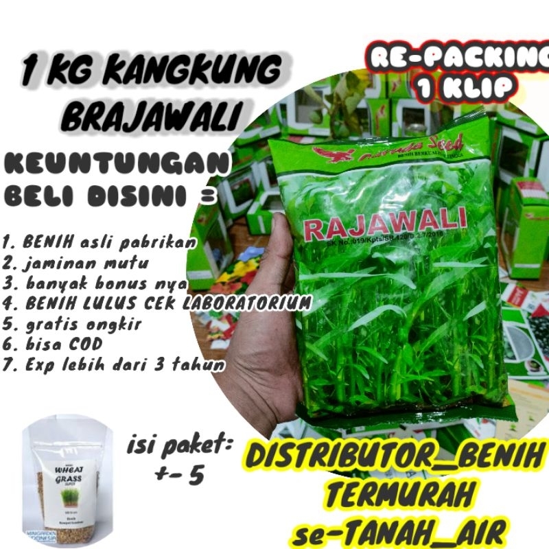 BENIH KANGKUNG RAJAWALI (REPACK)