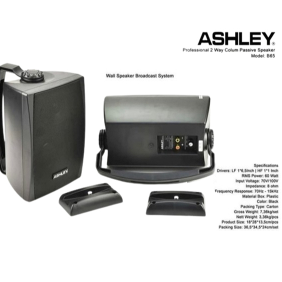 Speaker Pasif Ashley B 65 Original