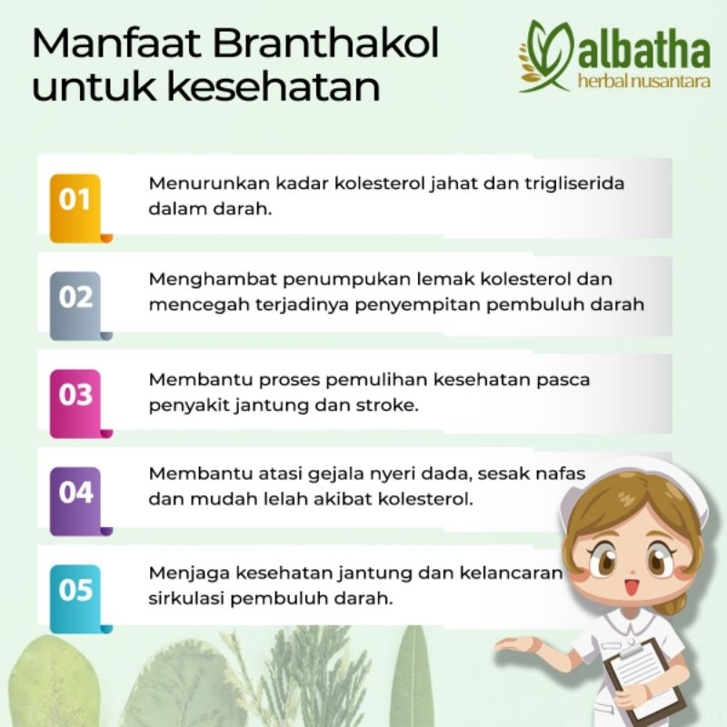 Roselina Delina Branthakol - Obat Kolesterol Herbal - Turunkan Kolesterol Dan Trigliserida Serta