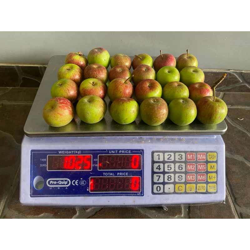 

Apel rome beuty cherry/apel mini satu kilo isi 20-21biji