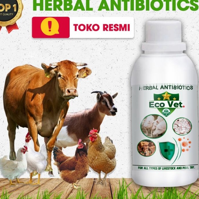 Terbatas Eco Vet Herbal Antibiotik 2 gram  Ecovet By Garden  Ecovet Orinal 2 gram