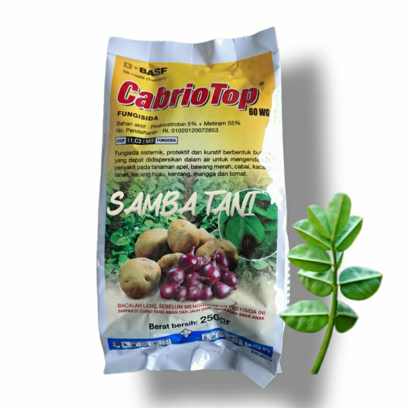 CABRIO TOP 250 GRAM FUNGISIDA