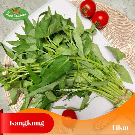 

Kangkung 1 Ikat I Sayuran Tiga Saudara I Pengiriman Instan Cimahi