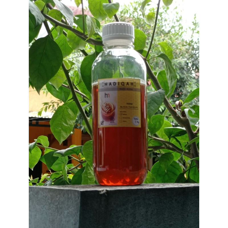 

Madu Murni Nektar Akasia Mangium 1 kg