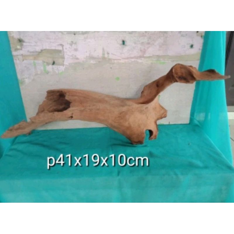 kayu aquascape tenggelam