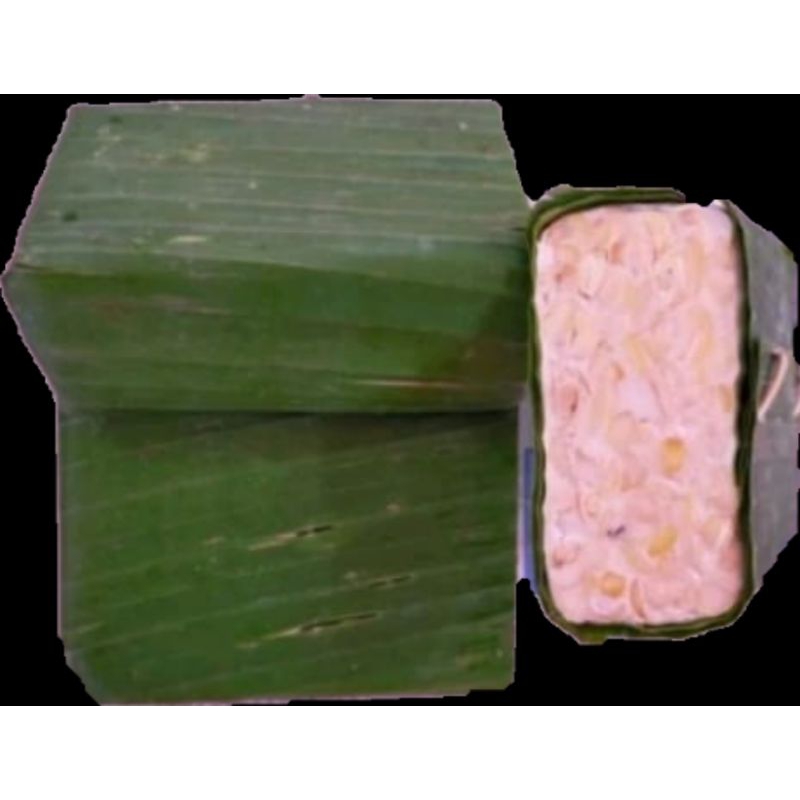

tempe 1potong