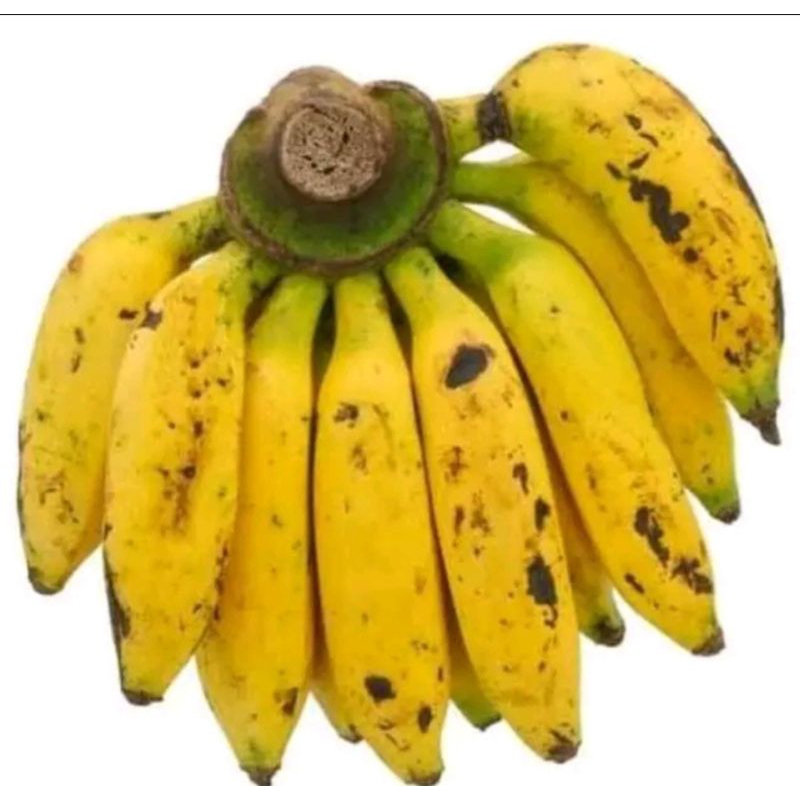pisang uli 1sisir