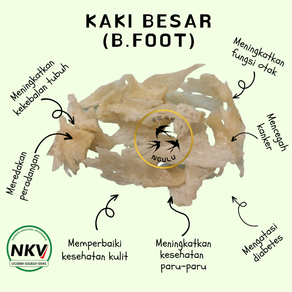 

Sarang Burung Walet Kaki Besar (Big Foot) Siap Masak