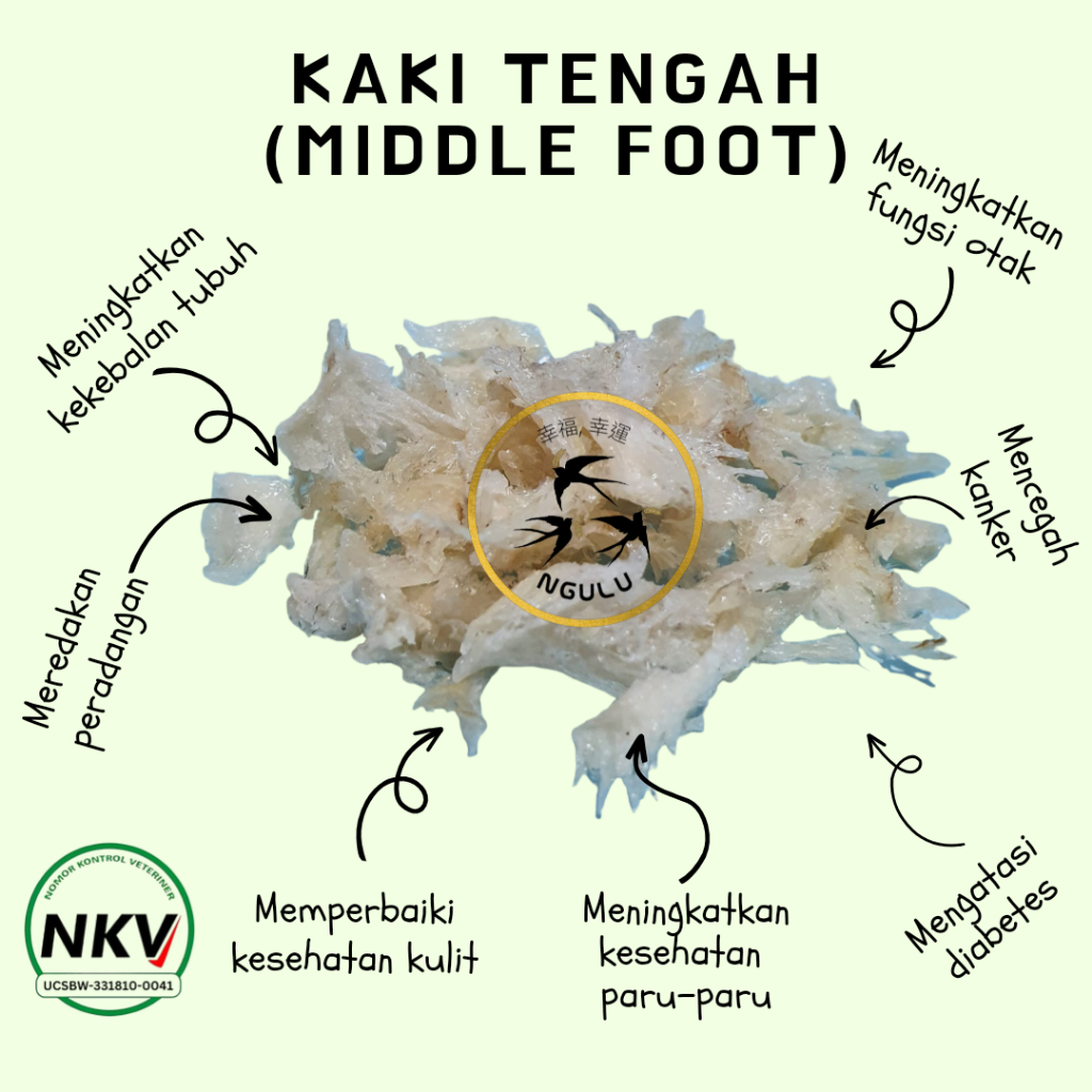 

Sarang Burung Walet Kaki Tengah (Middle Foot) Siap Masak