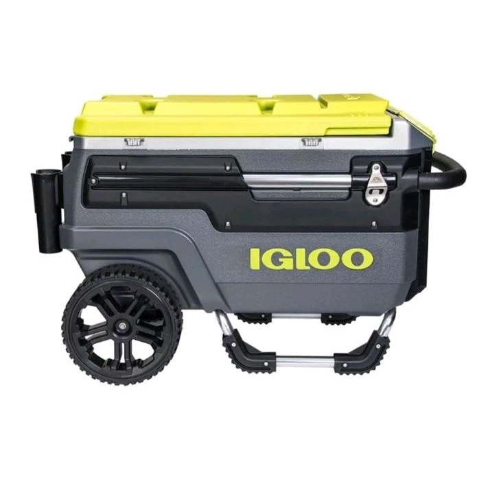 igloo cooler journey 66 liter