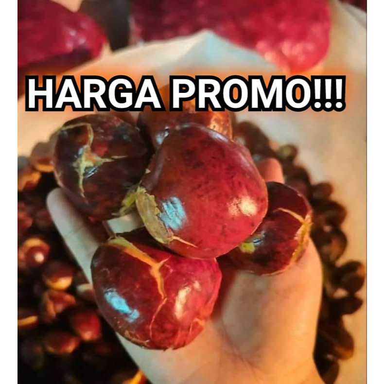 

Jengkol tua super jumbo/bungas kemasan berat 1kg
