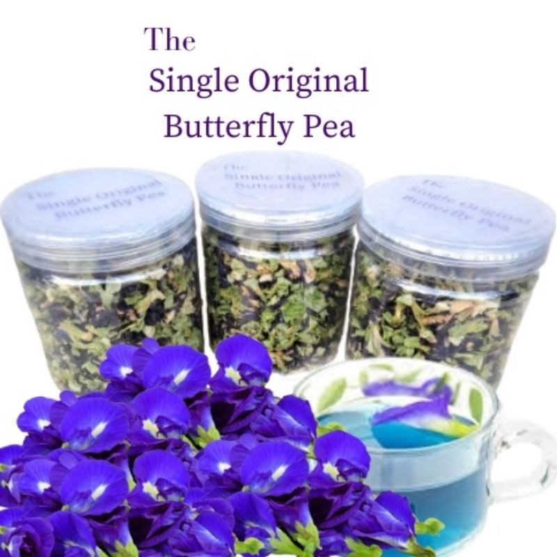 

BUTTERFLY PEA /BUNGA TELANG kering