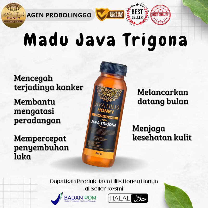 

Madu Java Trigona (Klanceng) by Java Hills Honey Madu klanceng Madu hutan madu hitam madu asli premium raw honey 330gr