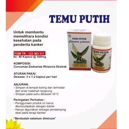 Temu Putih, obat herbal utk kanker