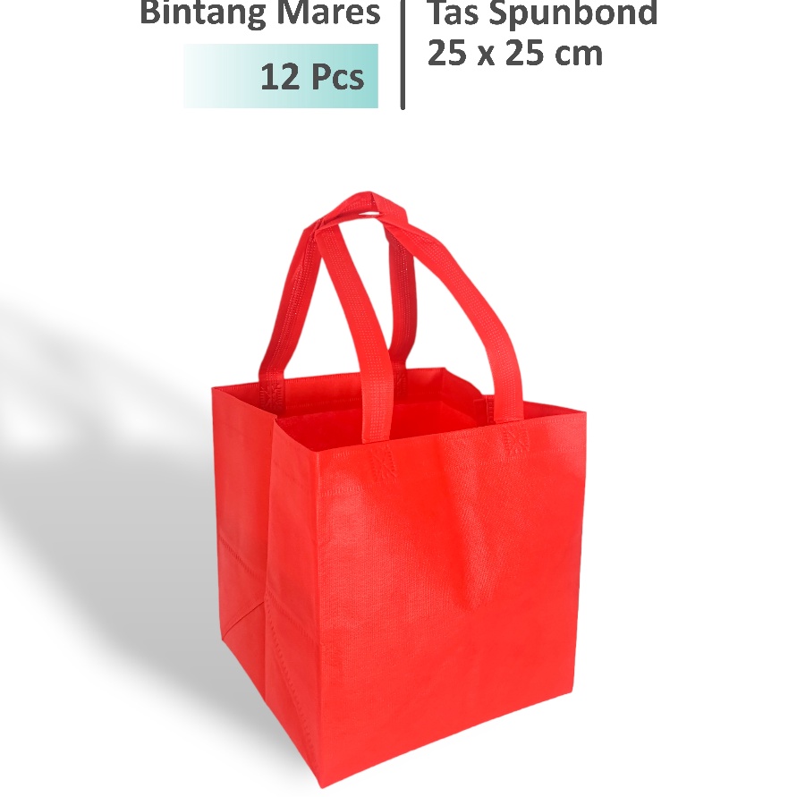 

Beli 12 Pcs Tas Hajatan 25x25 Tas Box Nasi 25x25 Tas Spunbond