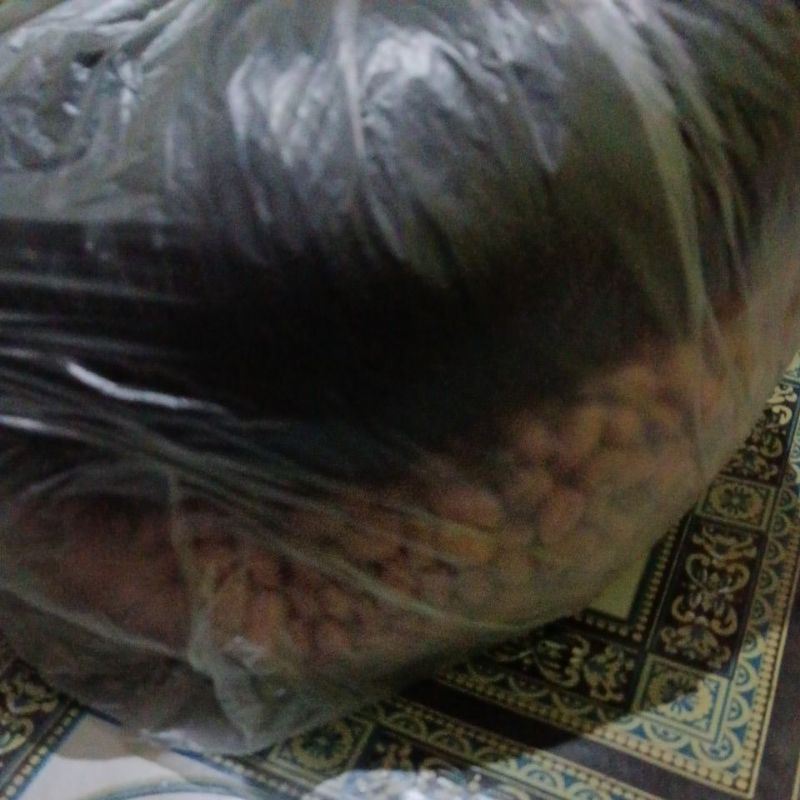 

Kacang Tanah
