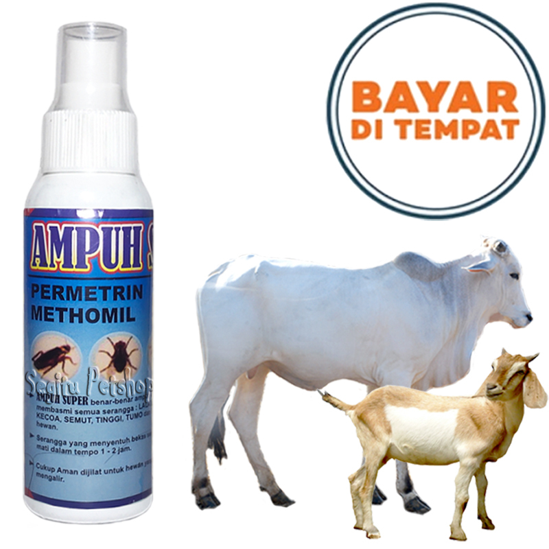 OBAT KUTU SAPI KERBAU TERNAK PEMBASMI PARASIT LALAT AMPUH SUPER SPRAY