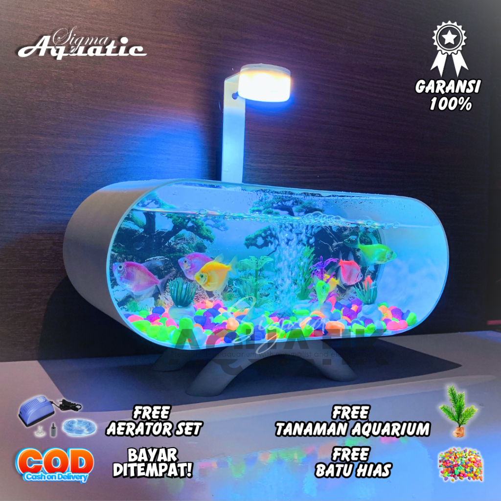 Aquarium Mini Ikan Cupang Akrilik Fullset Lengkap Aeshthetic Gratis Mesin Gelembug Lgk01