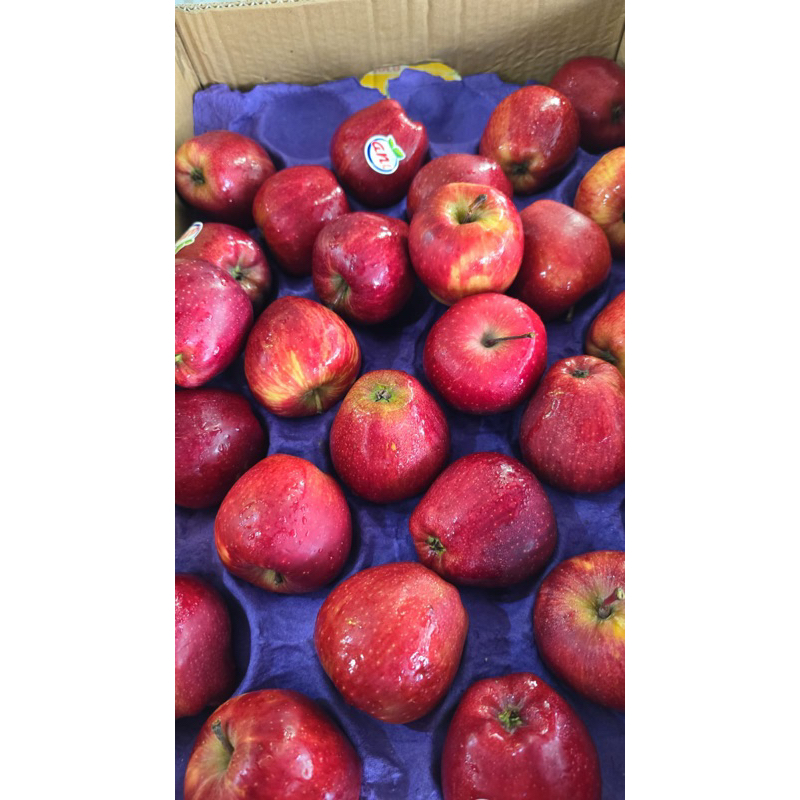 

buah apel red washington apel merah import 900gr - 1 KG