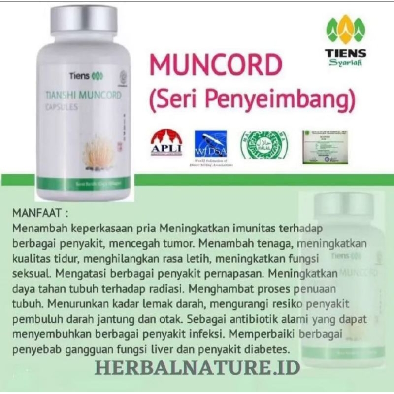 MUNCORD / Tiens muncord original 100% @ 30kapsul