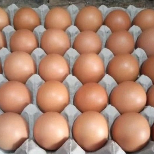 

telur ayam eropa ( size M) per papan