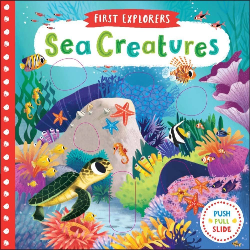 Campbell First Explorers Sea Creatures