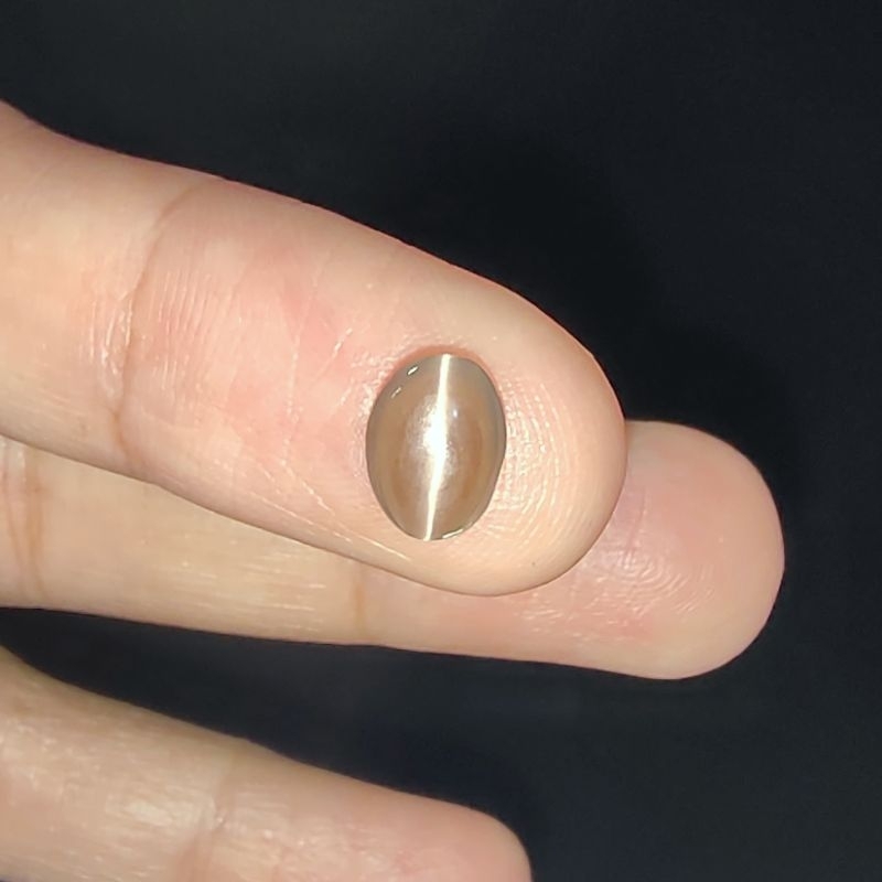 Batu permata Natural Cat Eye oval C - Batu Asli Mata Kucing