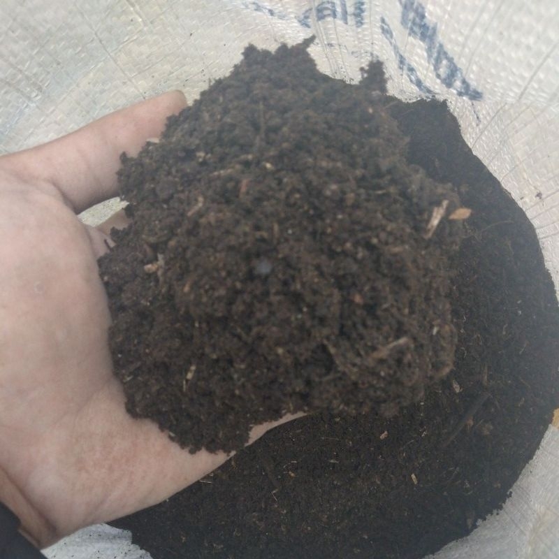 kompos atau humus daun bambu tanpa campuran berat 5kg