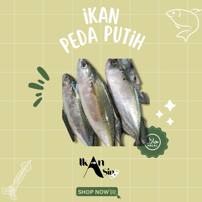 

ikan Asin Peda Putih
