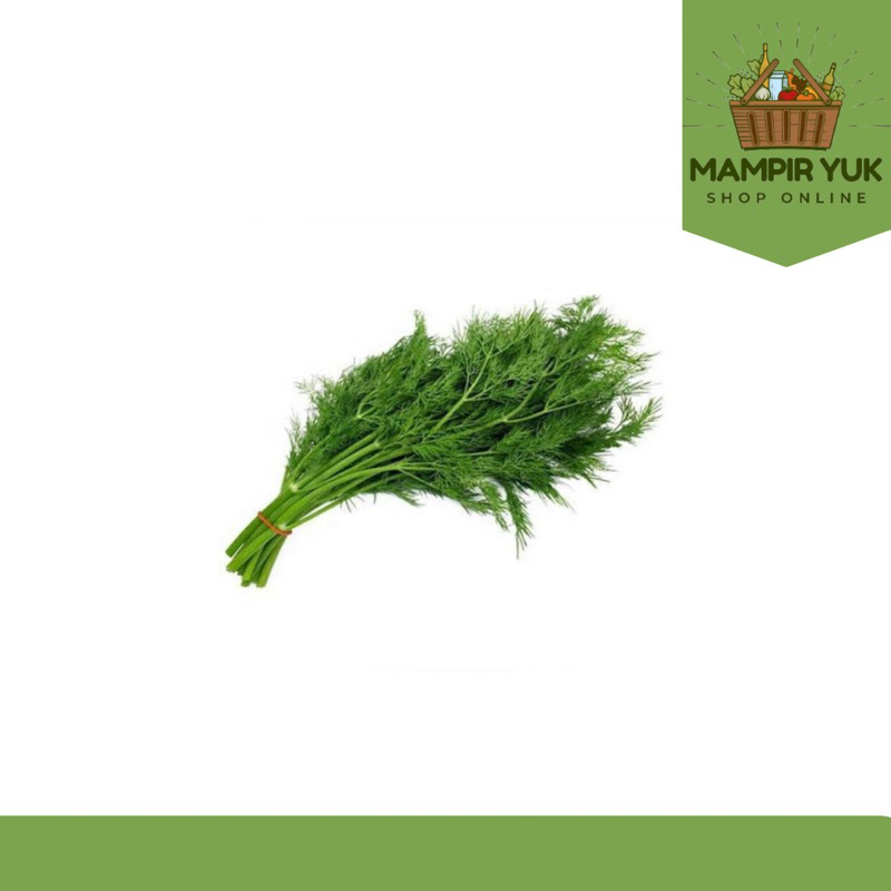 

Daun dhill 250gr-1kg | mampiryuk