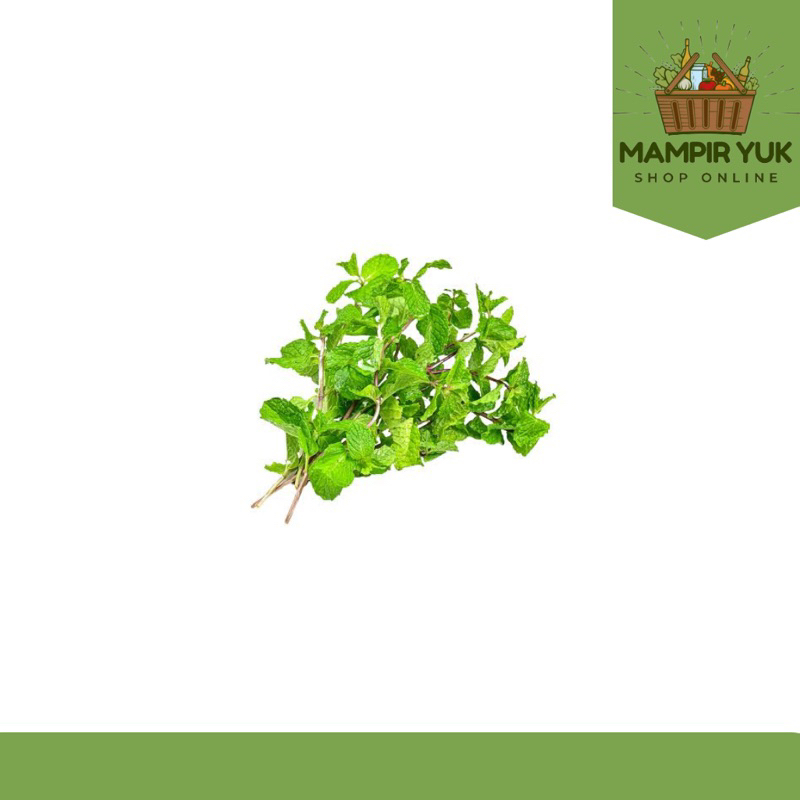 

Daun mint 250gr-1kg | mampiryuk