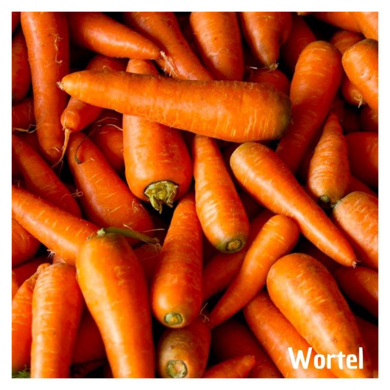 

wortel segar
