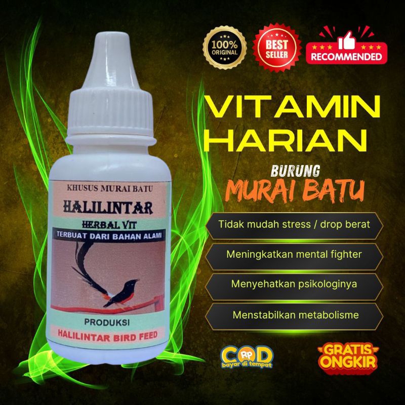 Halilintar Vitamin Harian Untuk Burung Berkicau Murai Batu Kacer Cucak Ijo Cendet Burung Masteran Se