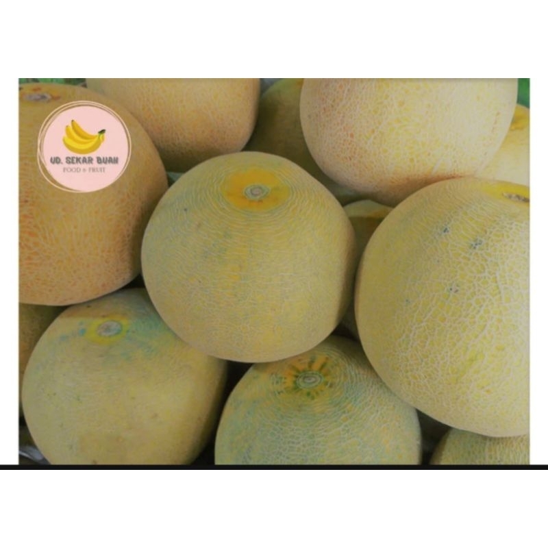 

AFGC [Kirim Instan] Melon Hijau Segar 1pcs 1.5kg Pengiriman Cepat