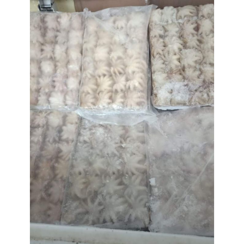 

baby gurita kecil whole clean kemasan 2kg 1kg