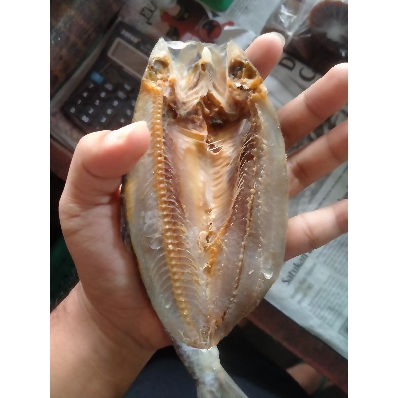 

IKAN TAMBAN 500GRAM (ASLI BELITUNG)