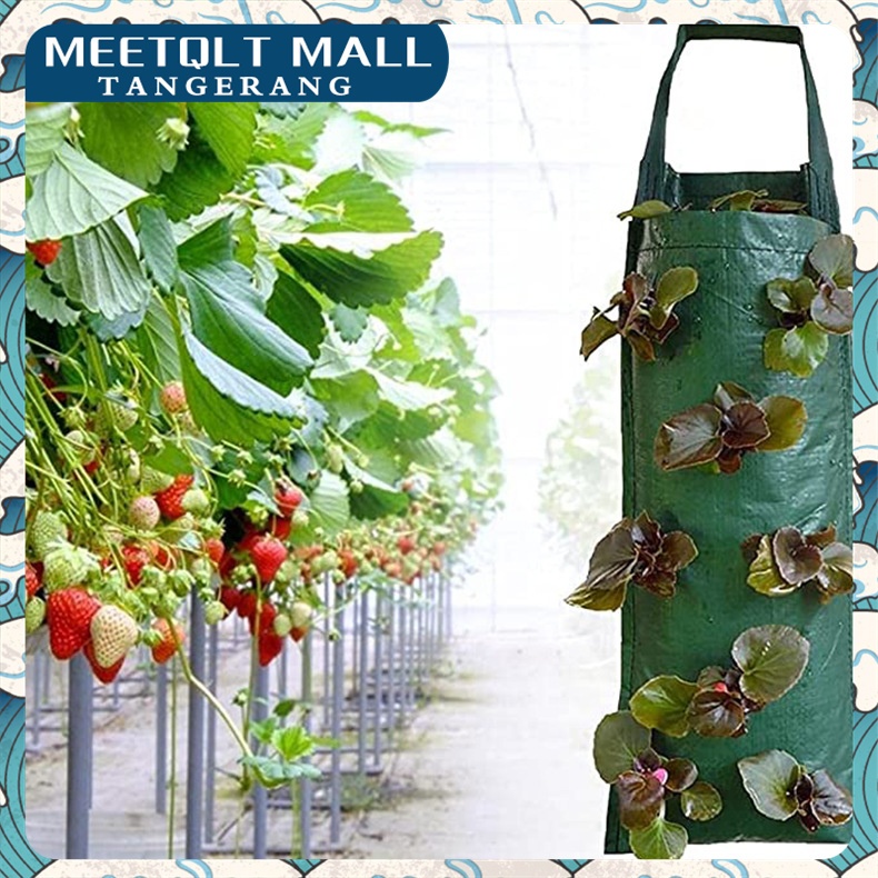 Planter Bag 10 Lubang-Plant Pouch-Pot Gantung Easy Grow-Planter Bag Untuk Tanaman Gantung