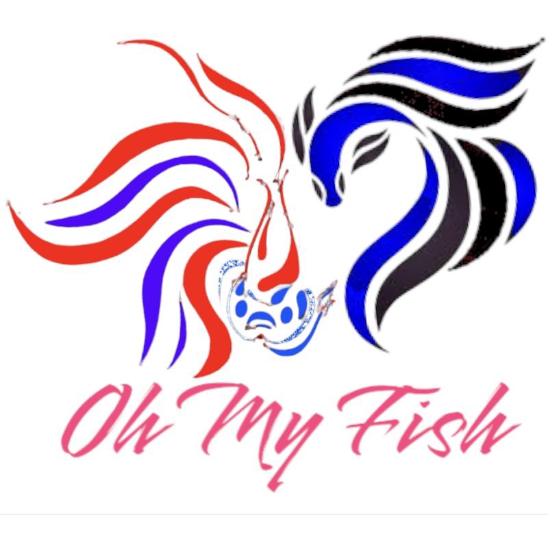 Pesanan buyer lecicaps