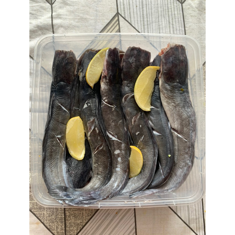 

Ikan Lele Fresh