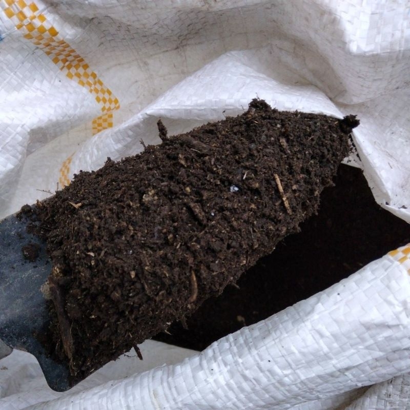 humus atau kompos daun bambu kering 1kg