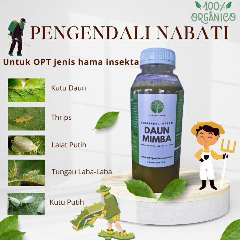 Neem Oil 500ml  / Pestisida Nabati Organik untuk semua hama tanaman insekta